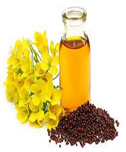 MUSTARD OIL